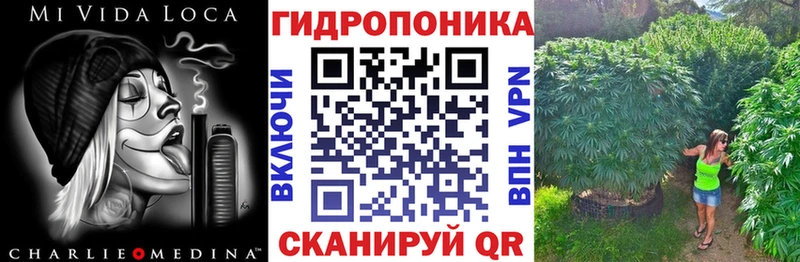 Бошки марихуана White Widow blacksprut рабочий сайт Киреевск